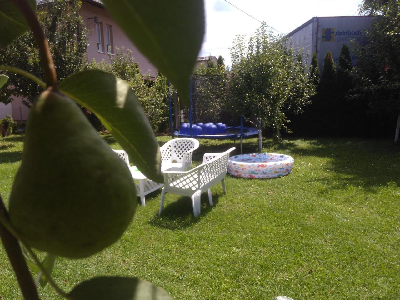 Elite Apartment Jasmina Bihać エクステリア 写真